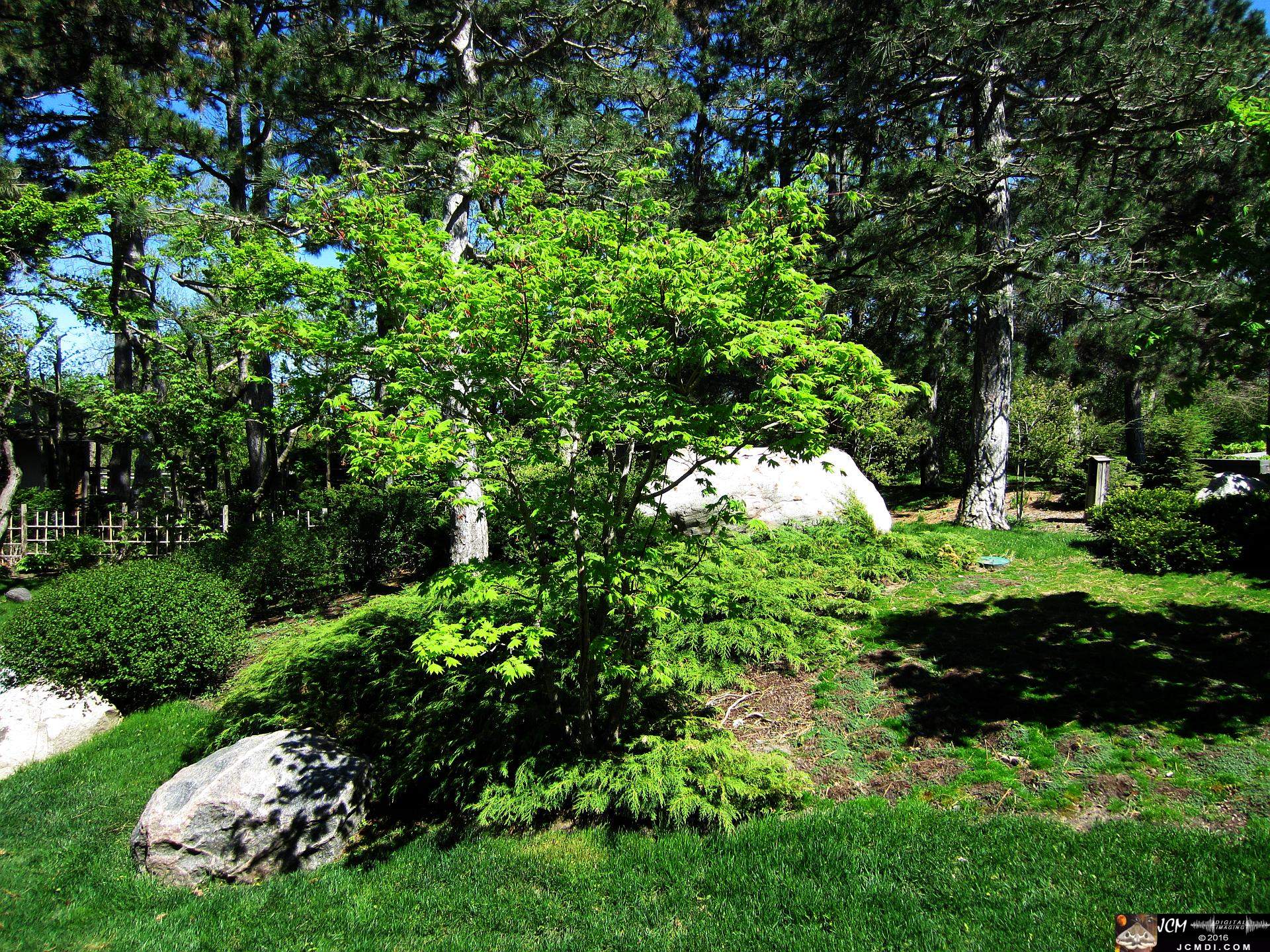 Como Zoo conservatory, MN japanese garden